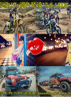 电影级LUTs调色预设17V5LOOKS支持AE/PR/PS/FCPX达芬奇/ED_附教程