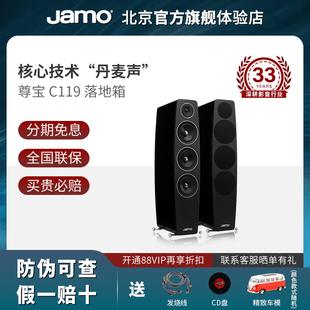 JAMO/尊宝C119旗舰新旷世家用落地式发烧级HIF级无源主音箱