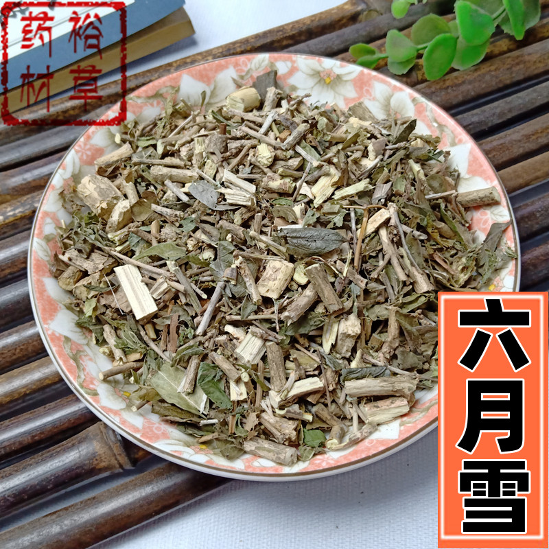 六月雪中药材500g包邮别名满天星 白马骨 碎叶冬青中药材店铺大全