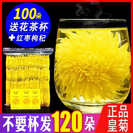 金丝皇菊菊花茶菊花黄菊一朵一杯花茶大朵金银花胎菊养生花茶茶叶