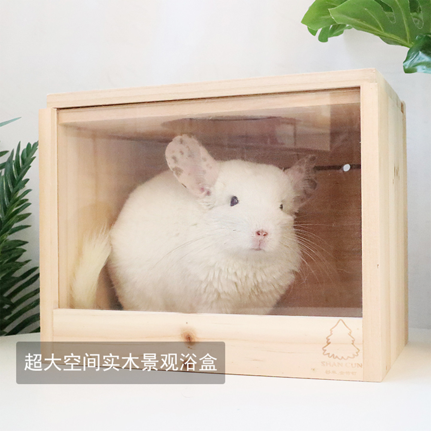 龙猫浴室松鼠木质洗澡浴盒浴缸洗澡盆浴盆洗澡房防飞溅防溢出用品