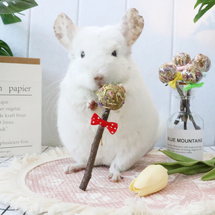 店主手工制作龙猫豚鼠兔兔仓鼠磨牙草饼苹果枝提摩西草棒棒糖零食