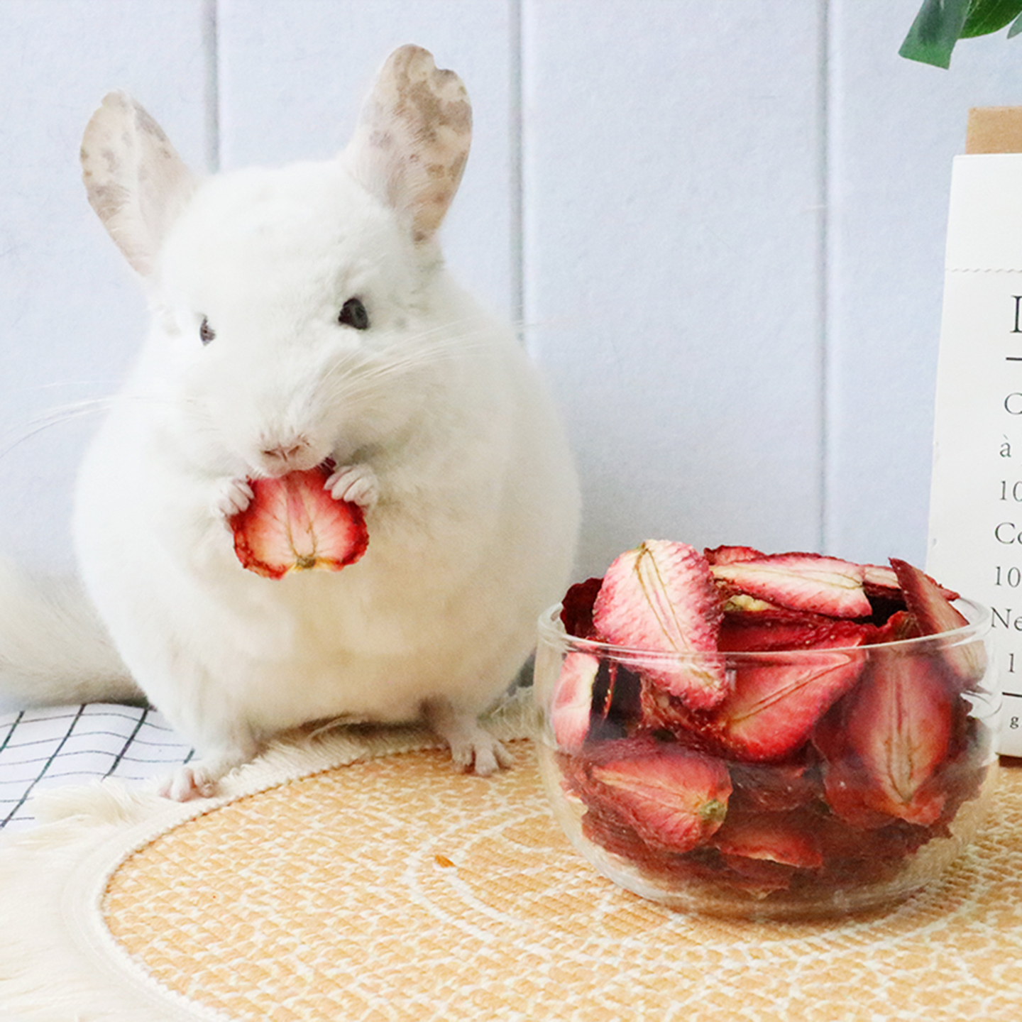 龙猫草莓片自制纯手工小宠物兔兔仓鼠豚鼠草莓干零食调理肠胃功能