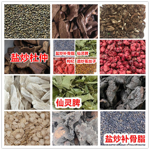 菟丝子人参盐补骨脂枸杞沙苑子骨碎补熟地黄仙茅仙灵脾肉苁蓉茯苓
