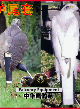 鹰具护尾 尾巴套 保护尾巴 falconry tail 鹰猎尾铃 铃铛板 尾夹