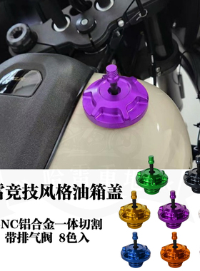 哈雷x48路威st街霸肥仔突破者大道公路滑翔改装ds竞技风格油箱盖