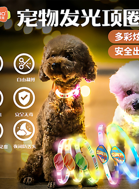 莱诺宠物小狗狗猫咪夜间发光脖子项圈大型犬夜晚遛狗防走失夜行灯
