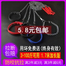 中大型犬栓狼狗用铁链子遛狗牵引绳1