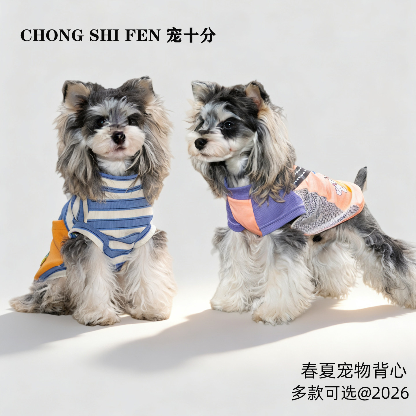 2026新款狗狗春季夏天薄款外出防脏漂亮高颜值衣服小型犬春装背心