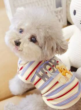 宠物猫咪比熊小型犬泰迪狗狗衣服四季通用室内马甲背心多彩条纹熊