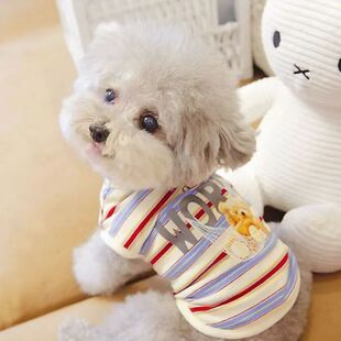 通用室内马甲背心多彩条纹熊 宠物猫咪比熊小型犬泰迪狗狗衣服四季