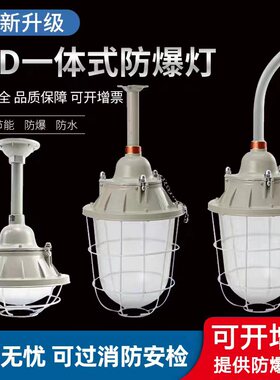 led防爆灯仓库厂房车间隔爆型100w灯罩厨房加油站工业专用照明灯