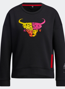 Adidas/阿迪达斯正品春季女子女装户外运动套头衫GN9454