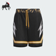 阿迪达斯正品 篮球运动短裤 SHORT Adidas 男士 JJ4999