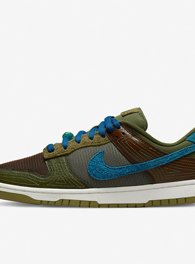 Nike/耐克正品Dunk男子运动休闲舒适轻便复古低帮板鞋 DR0159-200