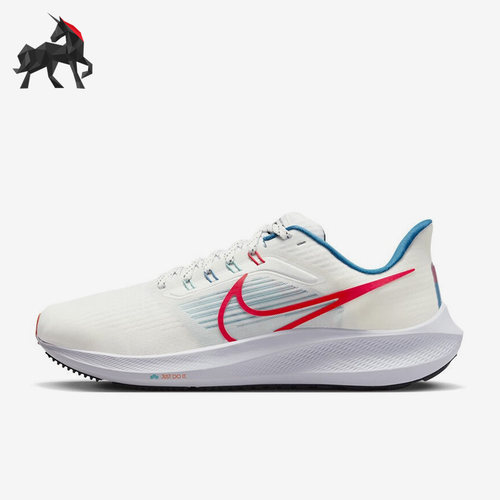 Nike/耐克正品男子跑步鞋