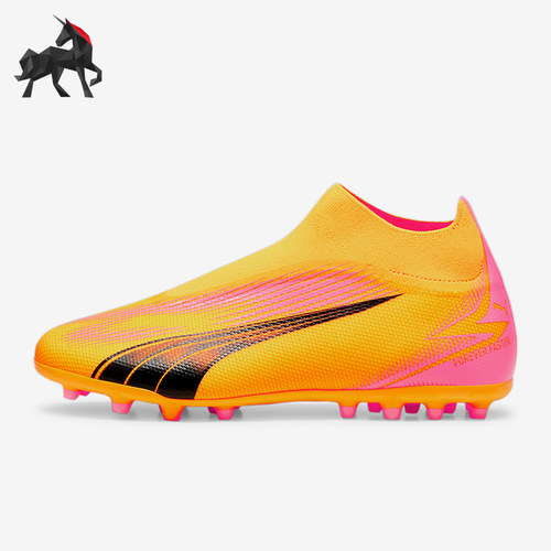 Puma/彪马男士运动足球鞋