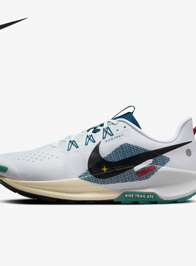 Nike/耐克正品男士耐磨透气低帮跑步鞋DV3864-100