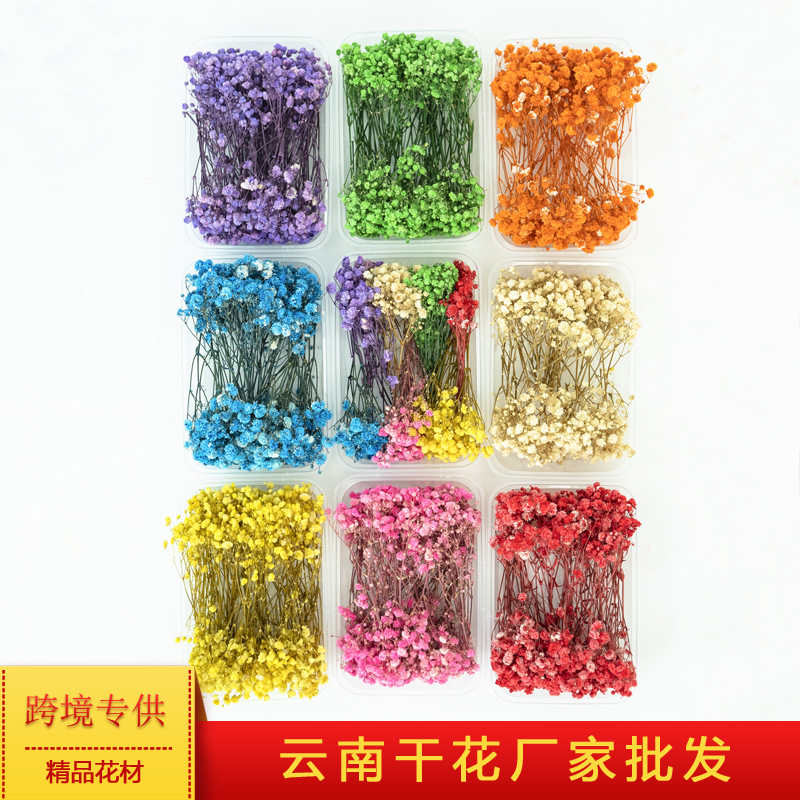 永生花满天星花盒干花材料盒万圣节圣诞节教师节DIY花材迷你花束