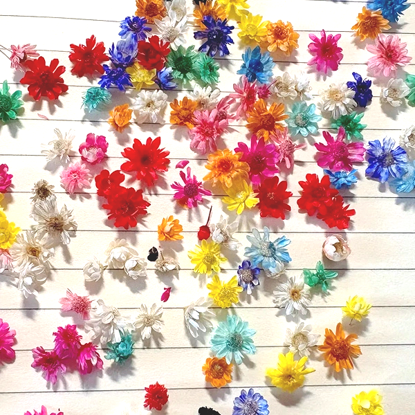 巴西小星花头无杆花mini雏菊diy水晶滴胶美甲精油装饰干花花头