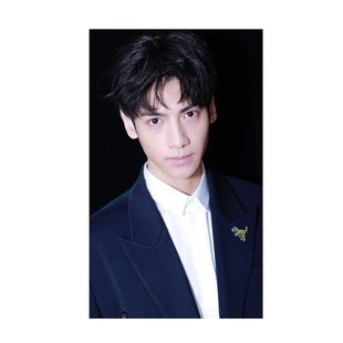 罗云熙香蜜沉沉烬如霜影视明星演员照片周边写