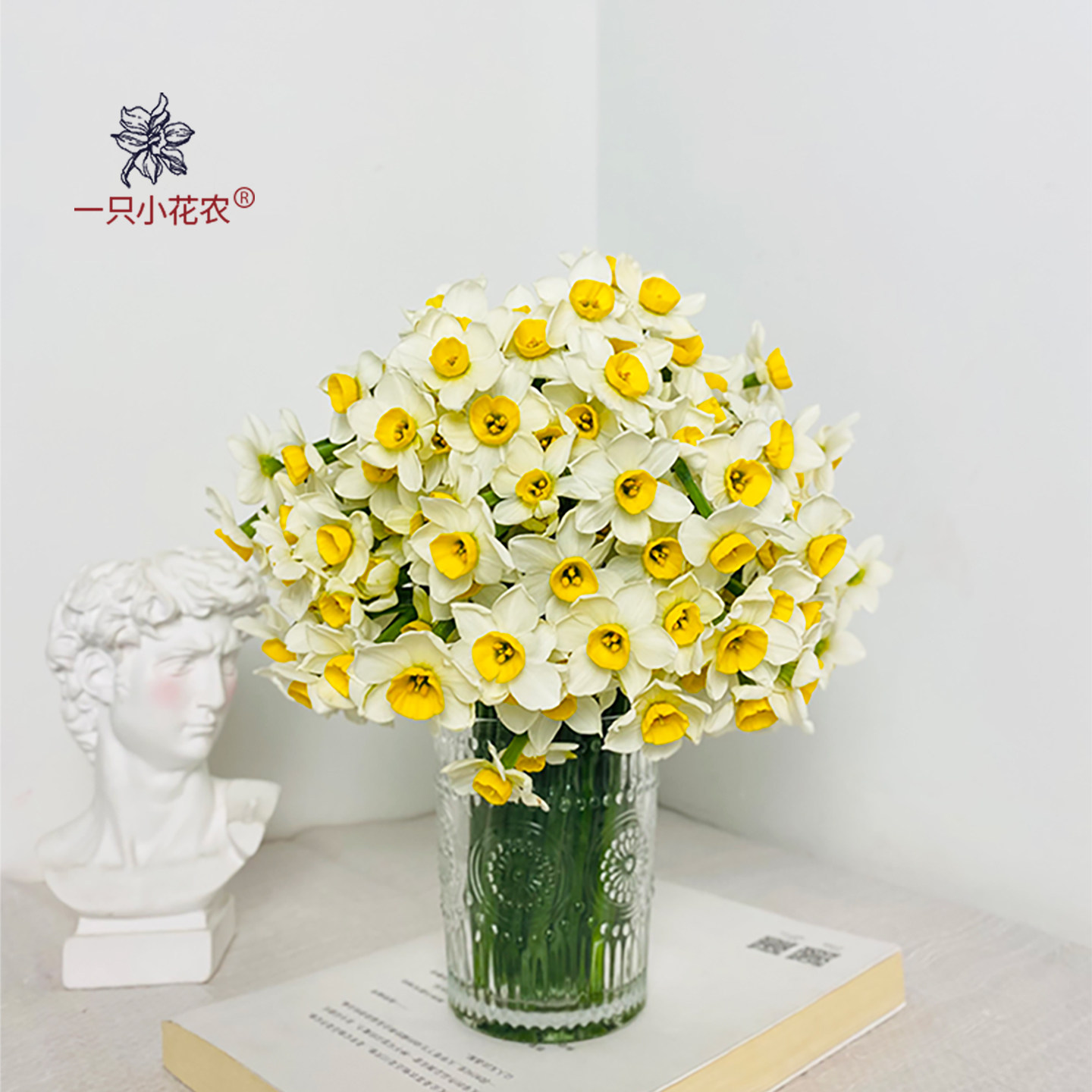 漳州水仙花鲜切花水培花卉玻璃花瓶鲜花枝室内办公室桌上泡水即开,鲜花速递/花卉仿真/绿植园艺,种球/裸根,淘宝优惠券,粉丝福利购,淘宝优惠卷