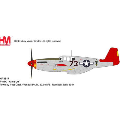 HOBBYMASTERP51战斗机合金模型