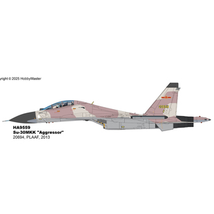 中国苏30战斗机 30MKK Aggressor PLAAF2013 3月 20694 HA9559