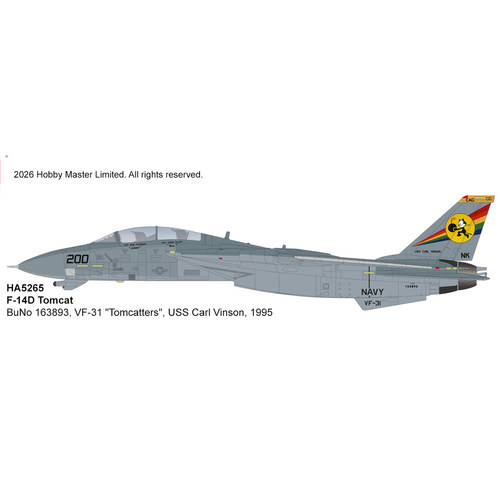 F-14D战斗机1995年合金模型