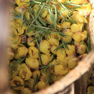 【对白茶舍】2026特级腊梅白腊梅安吉白 花茶花香灵动茶汤鲜甜