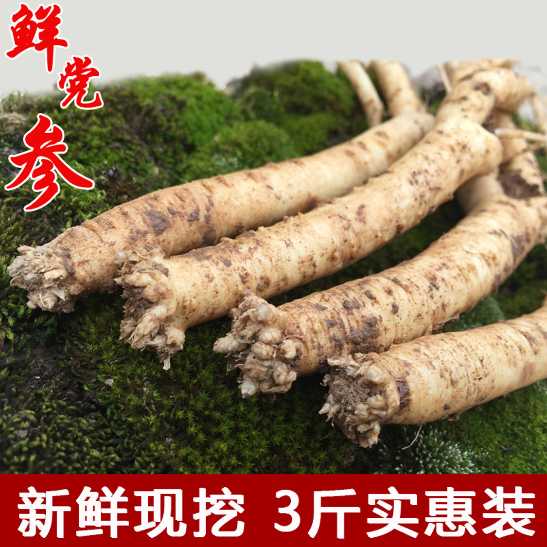 新鲜党参现挖现发正品党参煲汤
