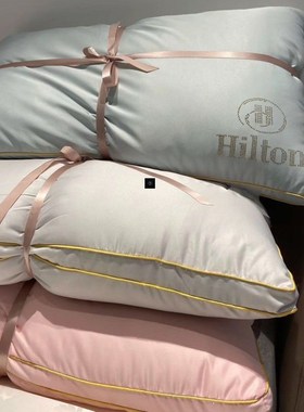 Down Alternative Bed Pillows Sleeping Hotel Pillow蚕丝棉枕头