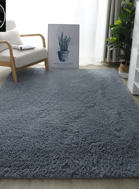 Fluffy Area Rugs for Bedroom Shaggy Floor Mat Carpet 地毯垫