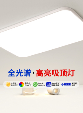 led超薄吸顶灯客厅主灯长方形超亮大灯简约现代大气新款全屋灯具