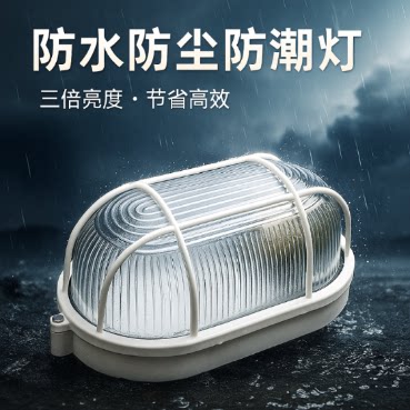 LED防潮灯防爆灯仓库地下室三防灯户外浴室防水吸顶灯电梯井壁灯