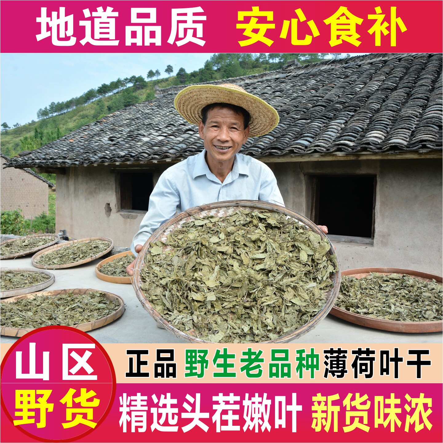 野生薄荷干叶中药材250g农家晒无硫野薄荷薄何老品种土薄荷薄荷茶
