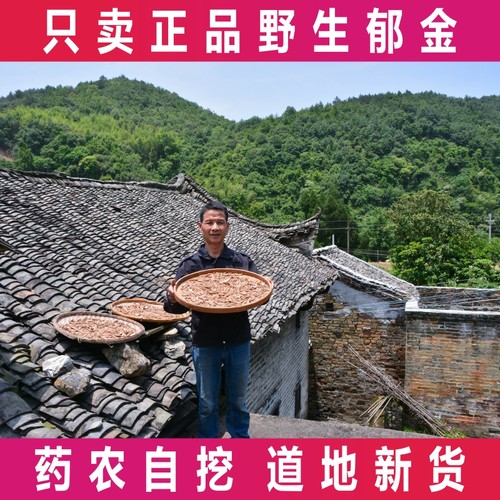 正宗野生郁金片中草药材无硫玉金
