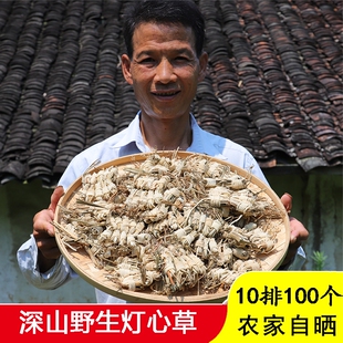 野生灯心草农家晒新品无硫100个包邮深山灯芯草灯芯花配麦冬玉竹