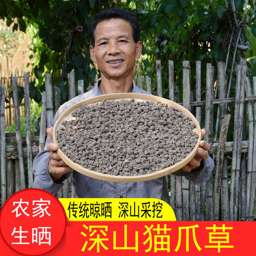 农家新晒深山猫爪草小毛茛三散草