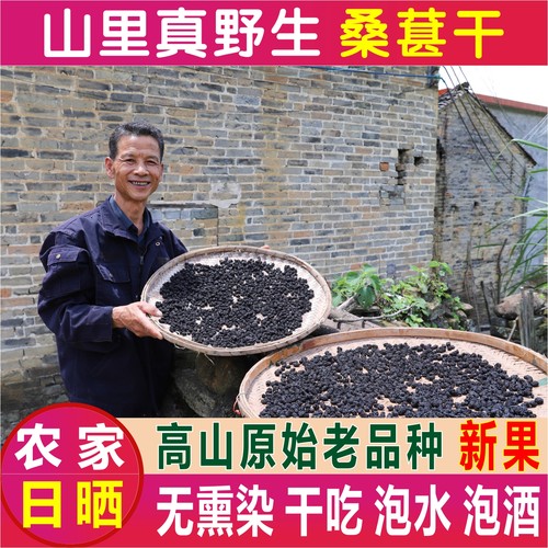 深山野生桑葚果干正品原味桑葚茶