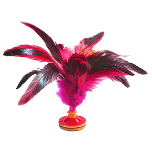 鸡毛毽子儿童小学生运动专用成人毽球踢毽子耐踢键子腱子比赛专用