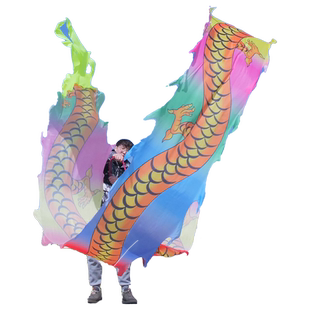 舞龙彩带广场舞健身龙新款甩龙龙头舞带彩带龙8米中国龙全套耍龙