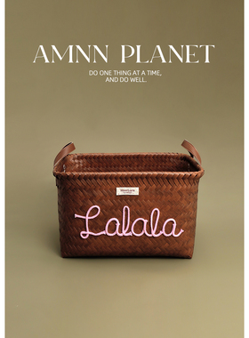 AMNN 原创复古仿藤编收纳筐2025年新款家具脏衣篓零食玩具储物篮