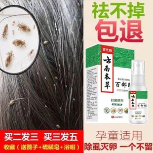 治小孩头上有虱子药去小女孩灭儿童头发里杀长的虫子狮子除阴虱净