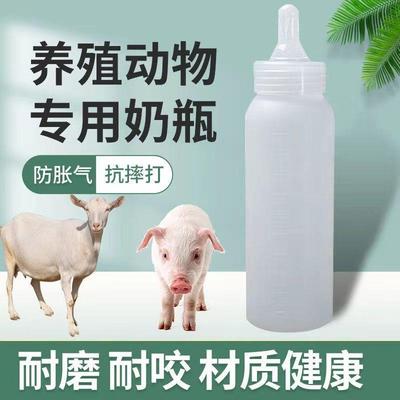 养殖兽用奶瓶小猪专毫升