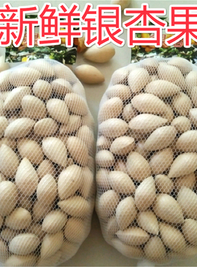 新鲜生白果银杏果2斤包邮（保质保量）鲜白果仁银杏带壳无漂白