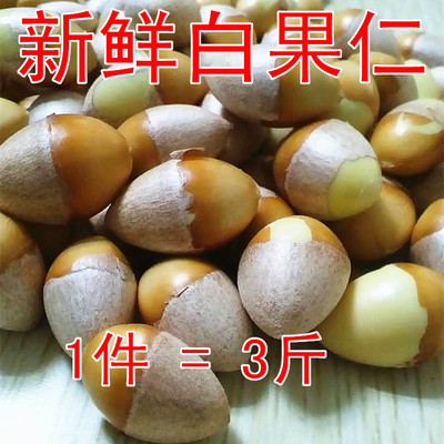 新鲜天然老树去壳大白仁银杏仁