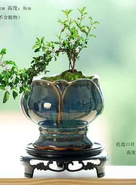 特价工厂直销复古荷花小老桩陶瓷