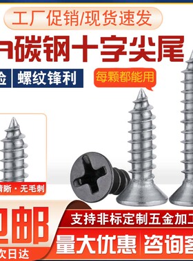 碳钢十字沉头自攻螺丝镀镍铁镀黑KA平头尖尾螺钉电子小螺丝M2M3M4