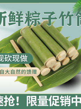 天然竹筒粽子模具家用商用新鲜手工顶出式竹桶糯米饭蒸桶现做现发